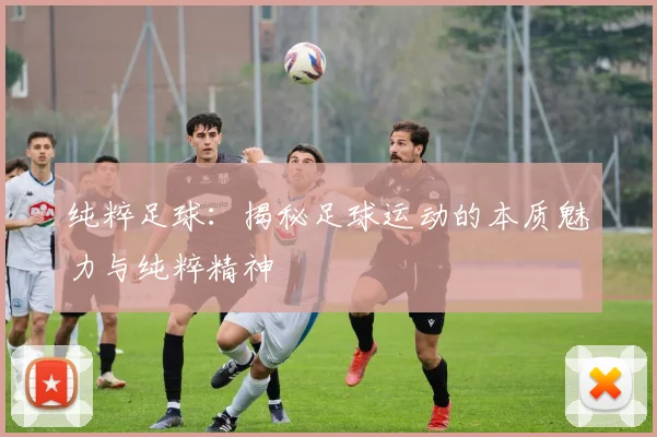 纯粹足球：揭秘足球运动的本质魅力与纯粹精神