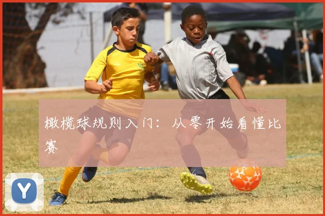 橄榄球规则入门：从零开始看懂比赛